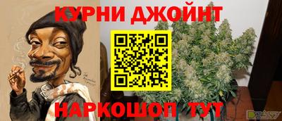 шишки Изобильный