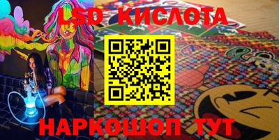 шишки Изобильный