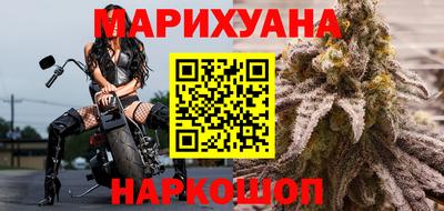 шишки Изобильный