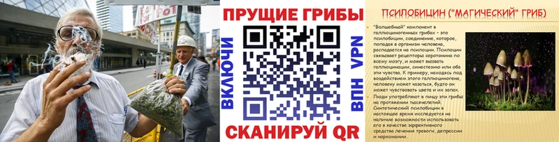закладки  Родники  MEGA зеркало  Псилоцибиновые грибы Cubensis 