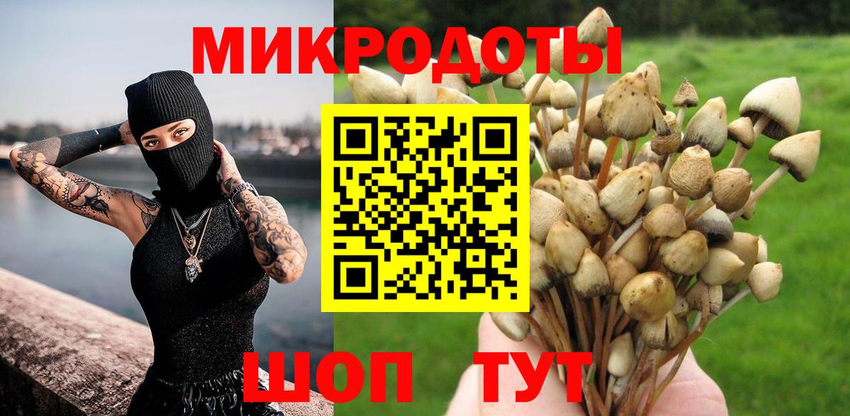 Родники  Псилоцибиновые грибы Magic Shrooms  Вход с VPN 